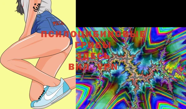 MDMA Медвежьегорск