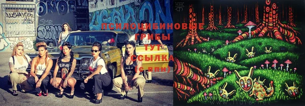 прущая мука Мегион