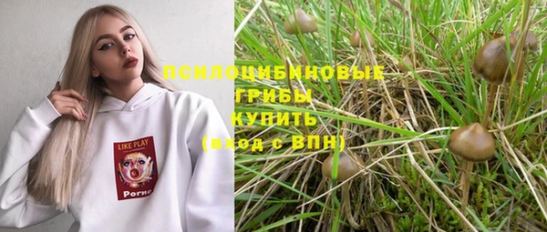 мяу мяу мука Медногорск