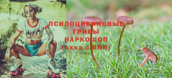 прущая мука Мегион