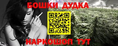 дживик Аргун