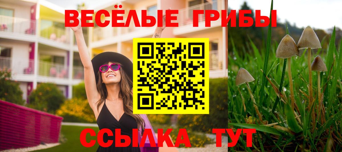 Псилоцибиновые грибы MAGIC MUSHROOMS  Вход с VPN  Приморско-Ахтарск 
