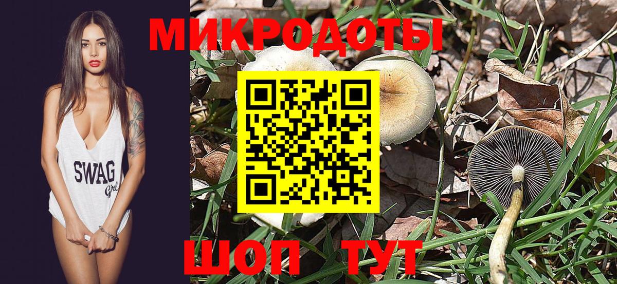 Псилоцибиновые грибы мицелий Приморско-Ахтарск